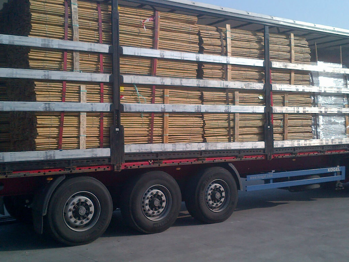trasporto bambu